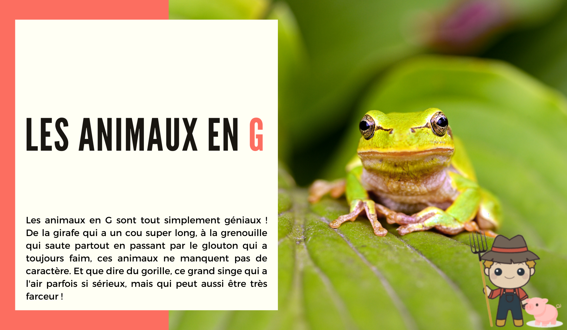 Les animaux en g - Le Petit Fermier