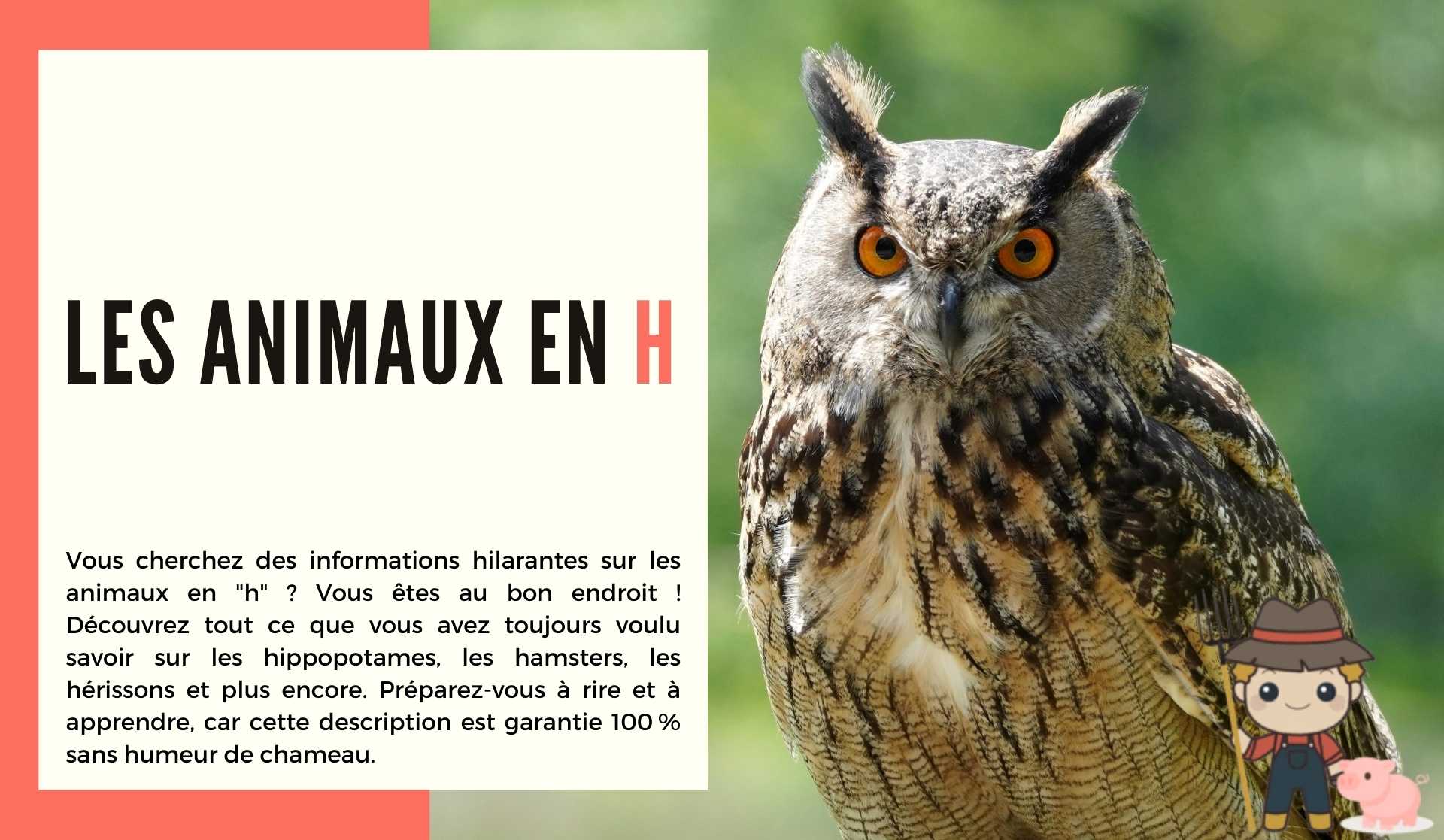 Les animaux en h - Le Petit Fermier