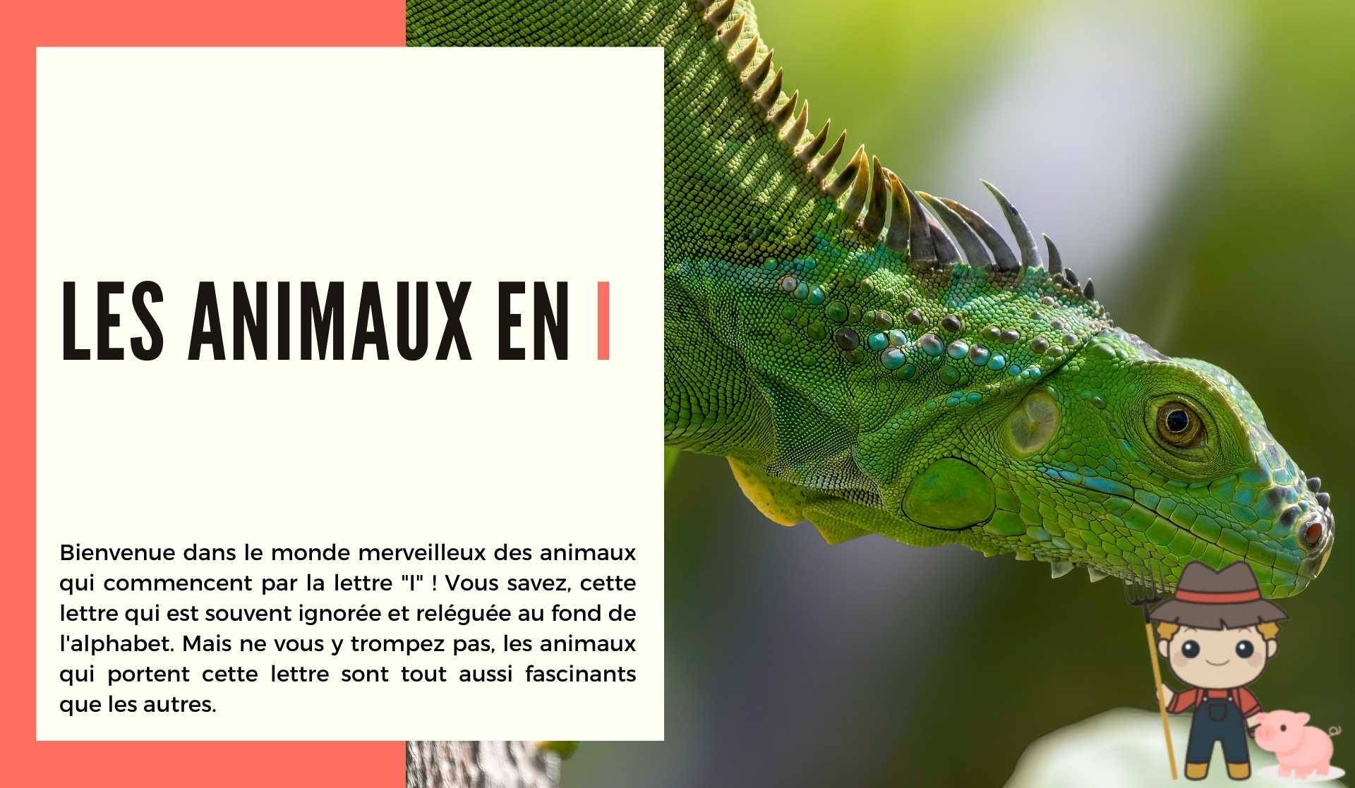 Les animaux en i - Le Petit Fermier