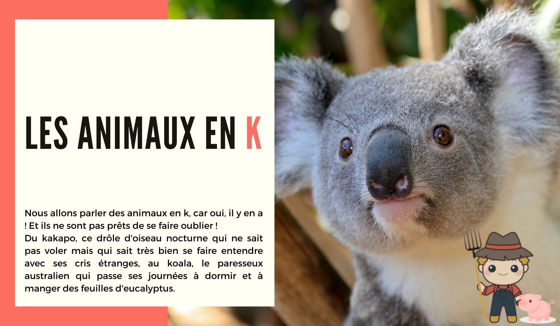 Les animaux en k - Le Petit Fermier