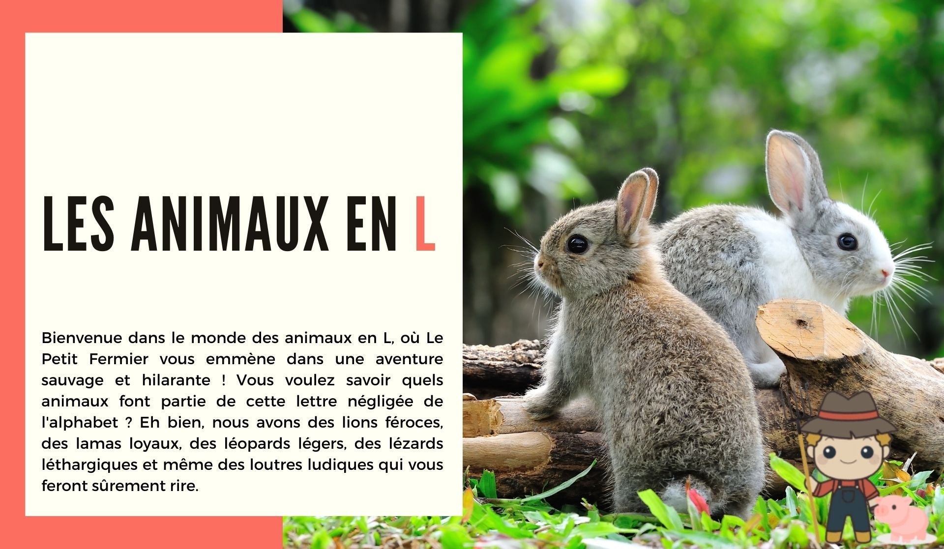 Les animaux en l - Le Petit Fermier