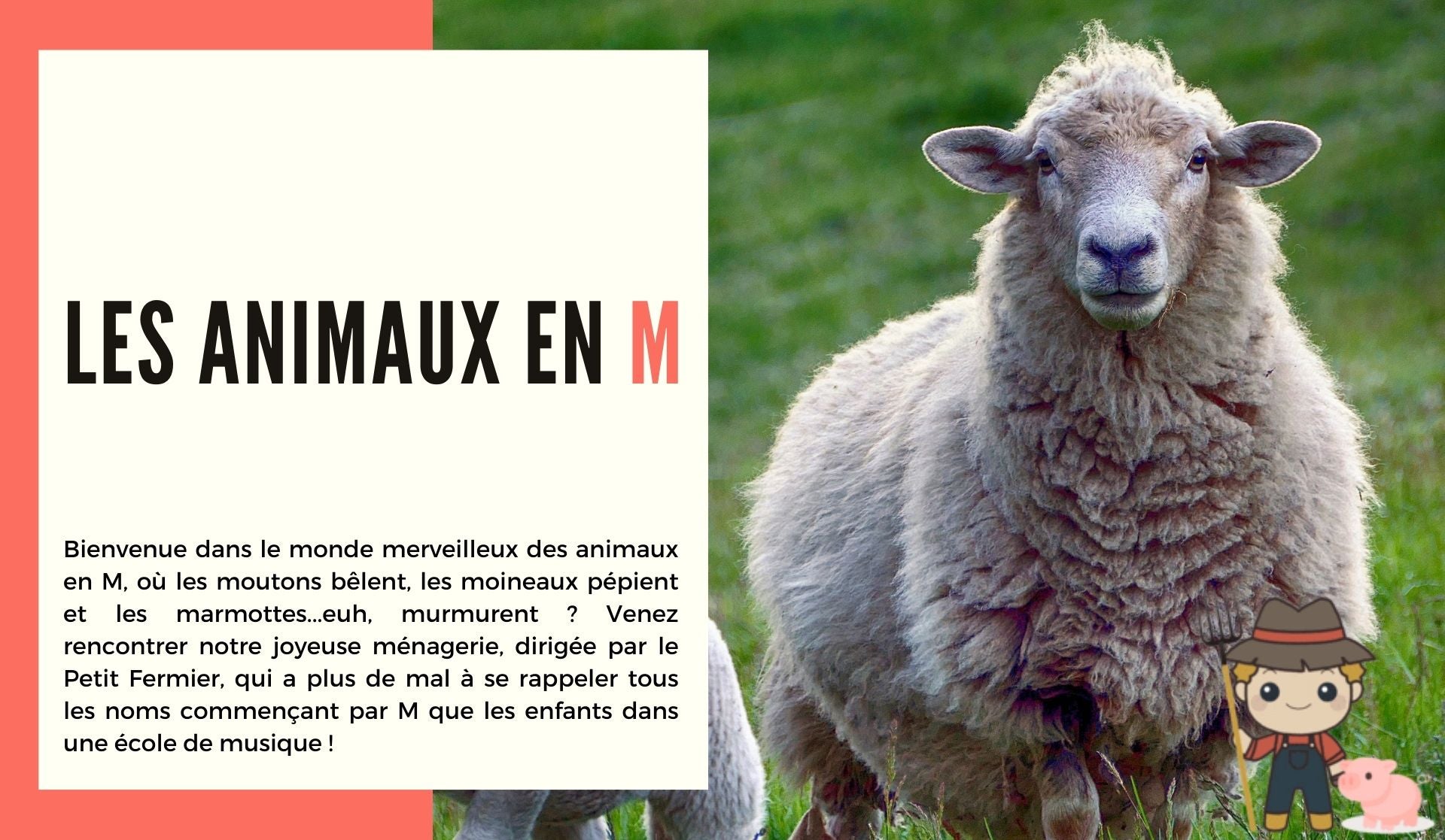 Les animaux en m - Le Petit Fermier