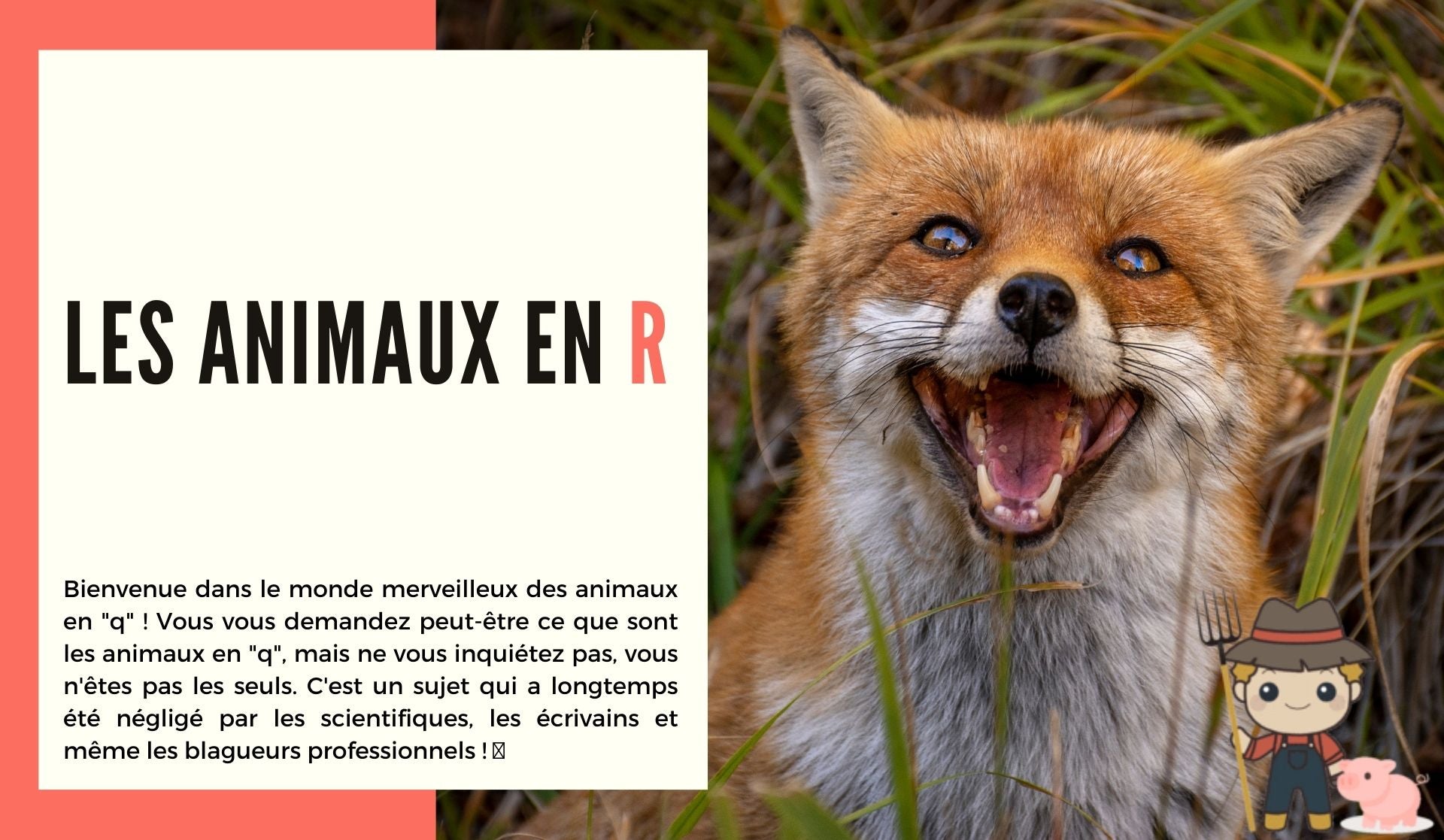 Les animaux en r - Le Petit Fermier