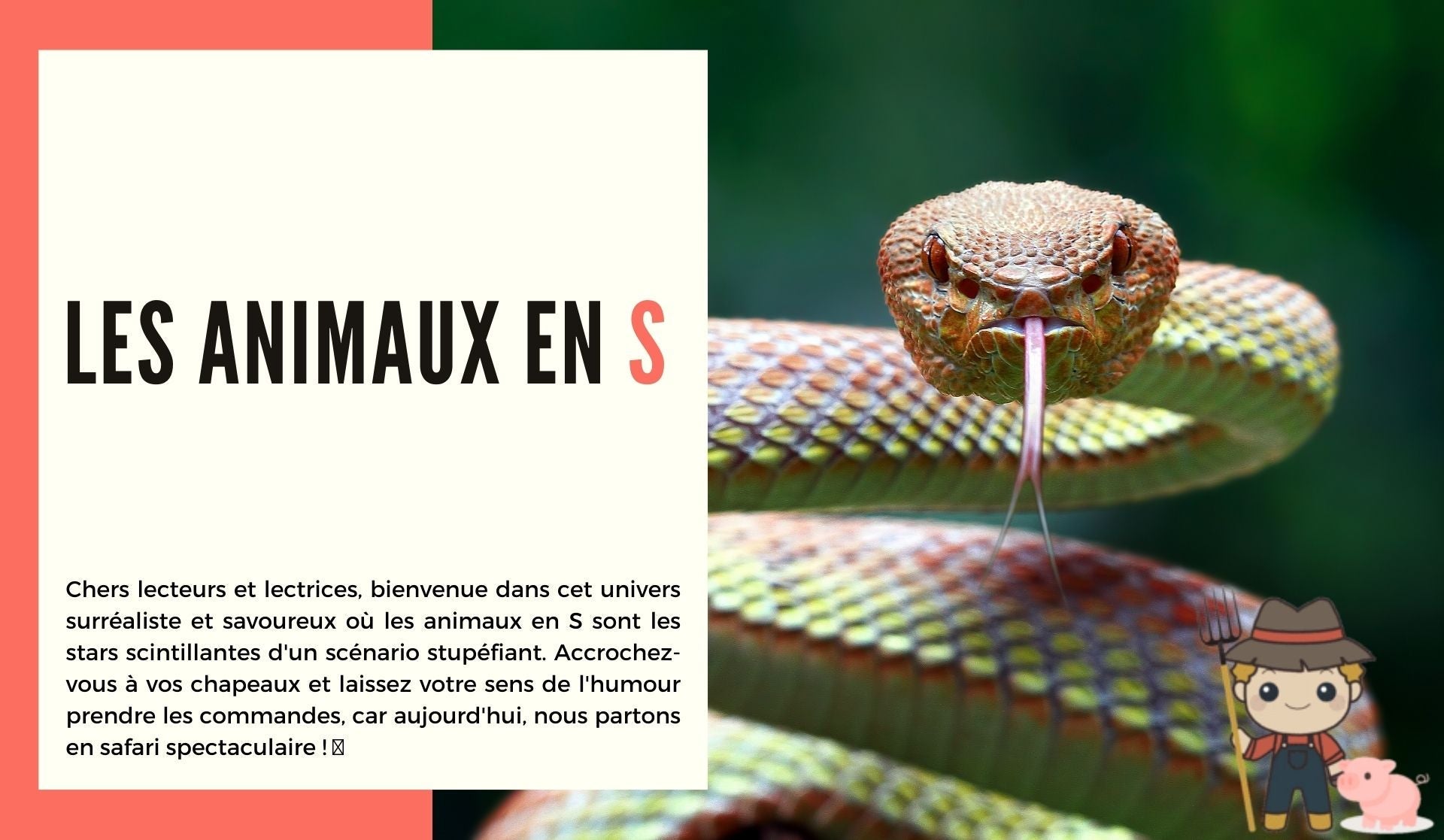 Les animaux en s - Le Petit Fermier