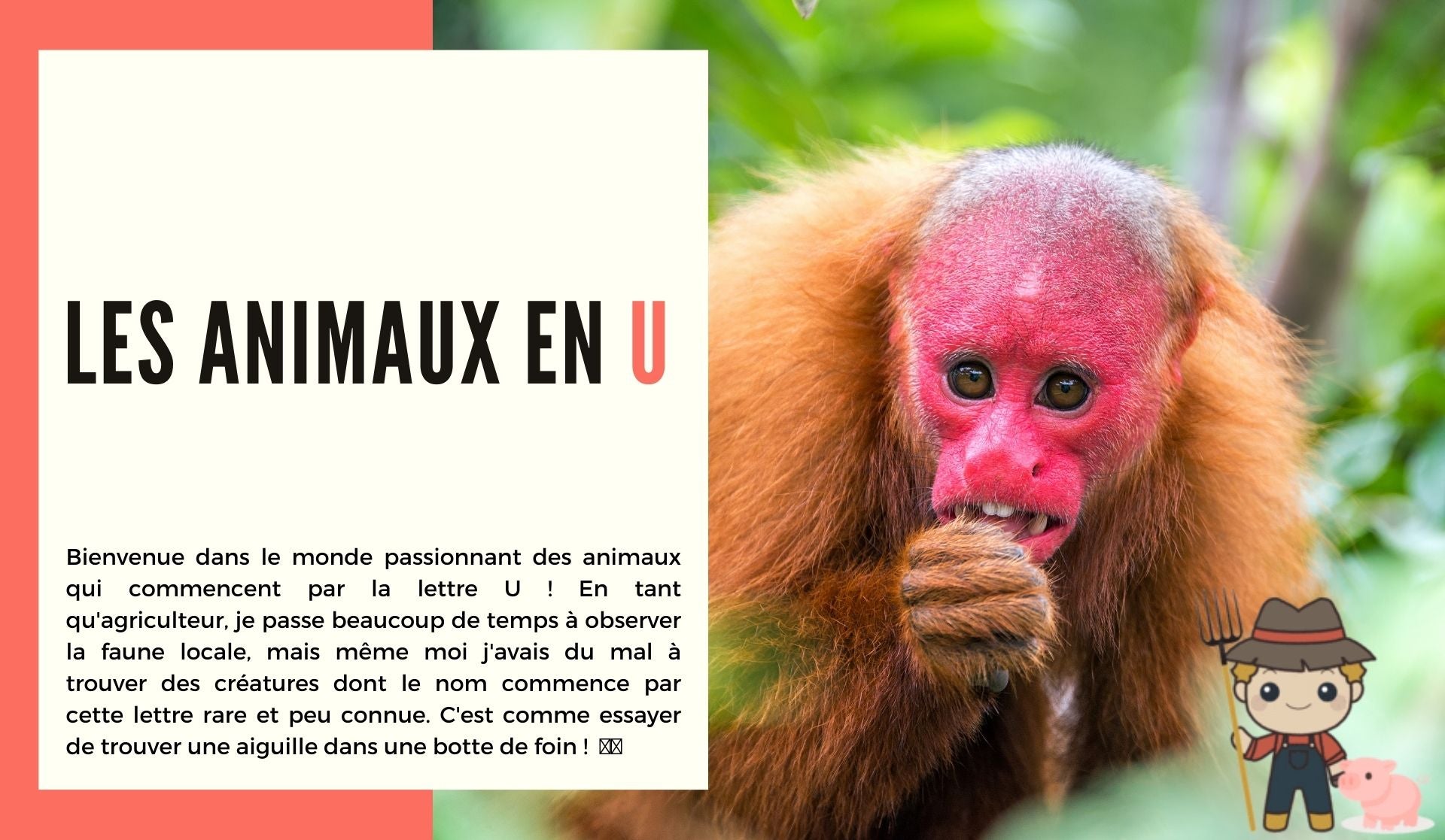 Les animaux en U