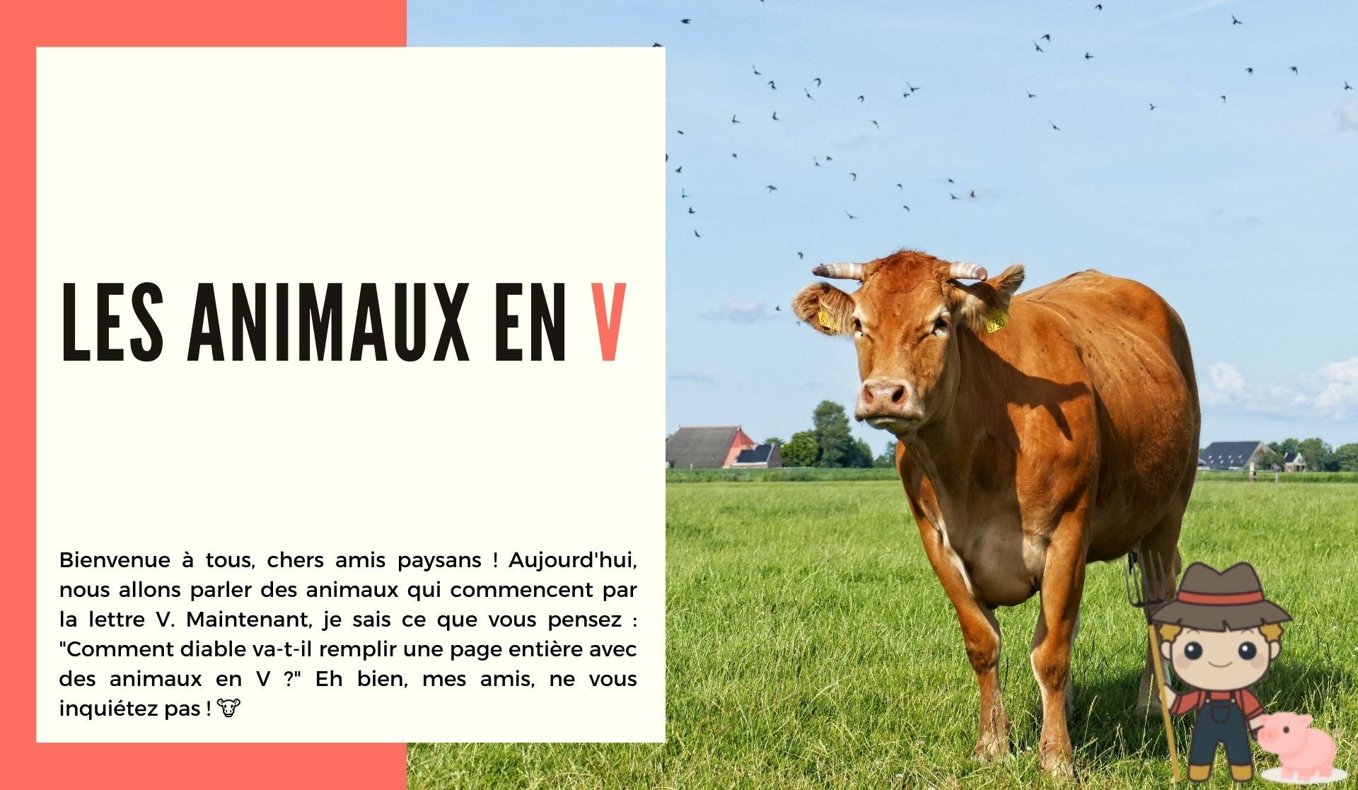 Les animaux en v
