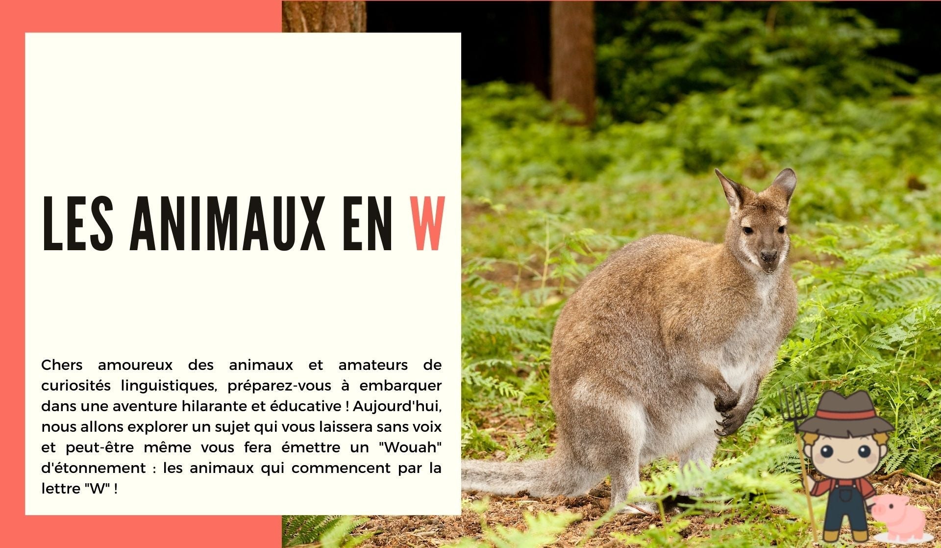 Les animaux en W - Le Petit Fermier