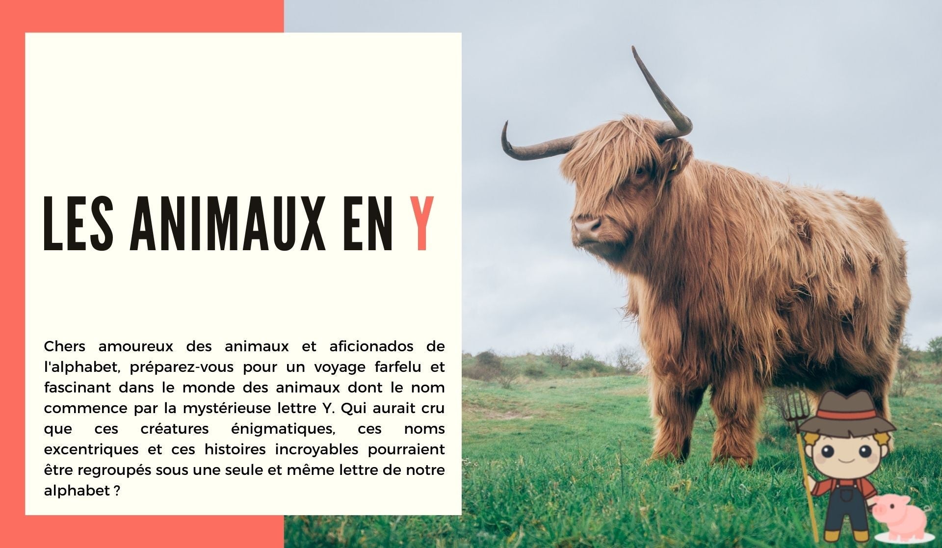 Les animaux en Y