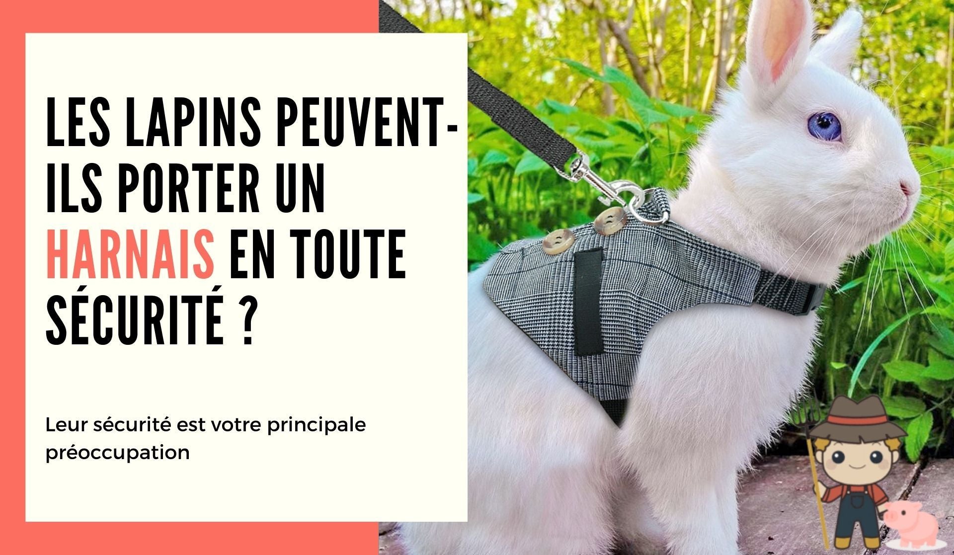 Les lapins peuvent-ils porter un collier ou un harnais en toute sécurité ? - Le Petit Fermier