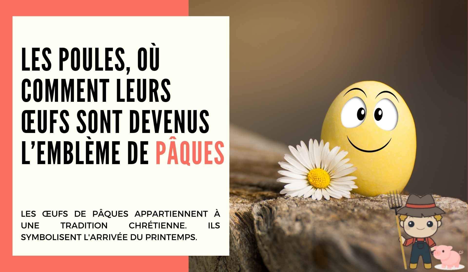 Les poules, où comment leurs œufs sont devenus l’emblème de Pâques - Le Petit Fermier
