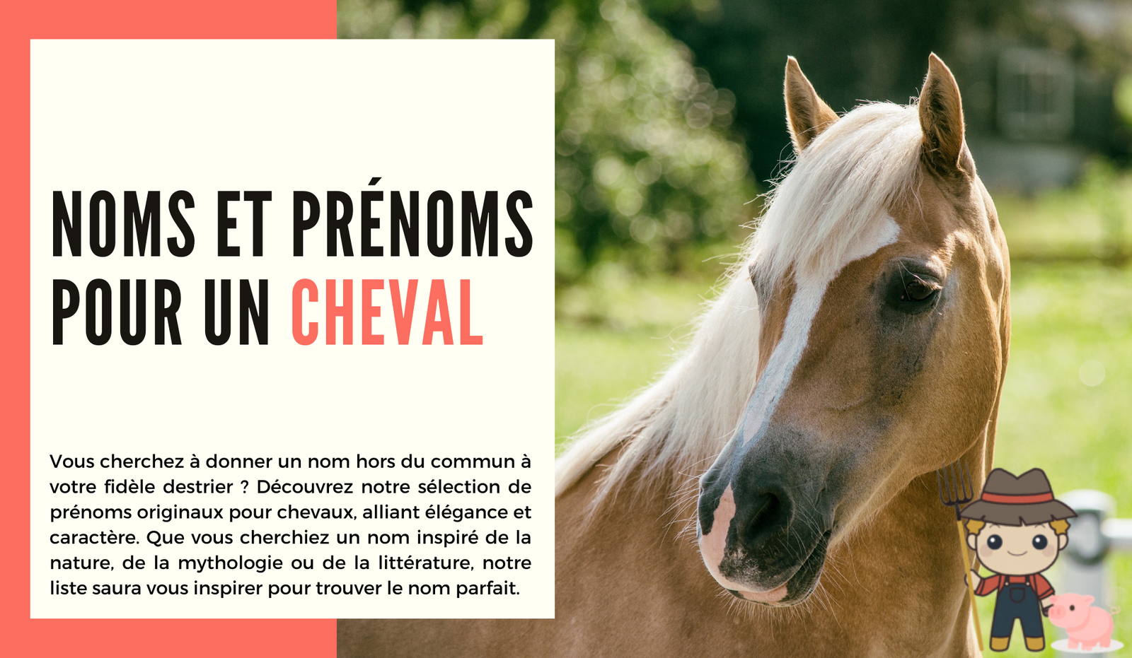Noms et prénoms pour un cheval - Le Petit Fermier