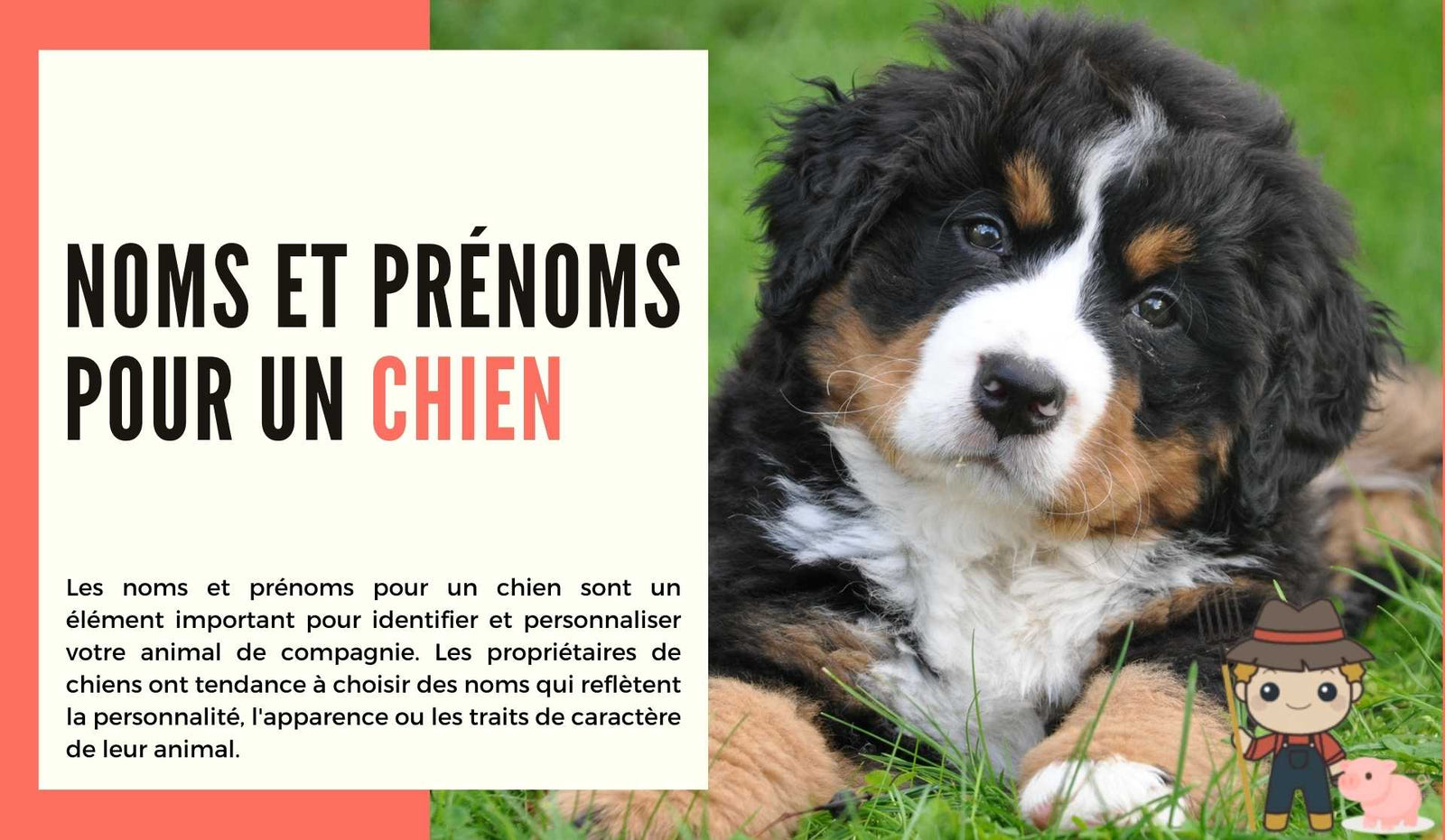 Noms et prénoms pour un chien - Le Petit Fermier