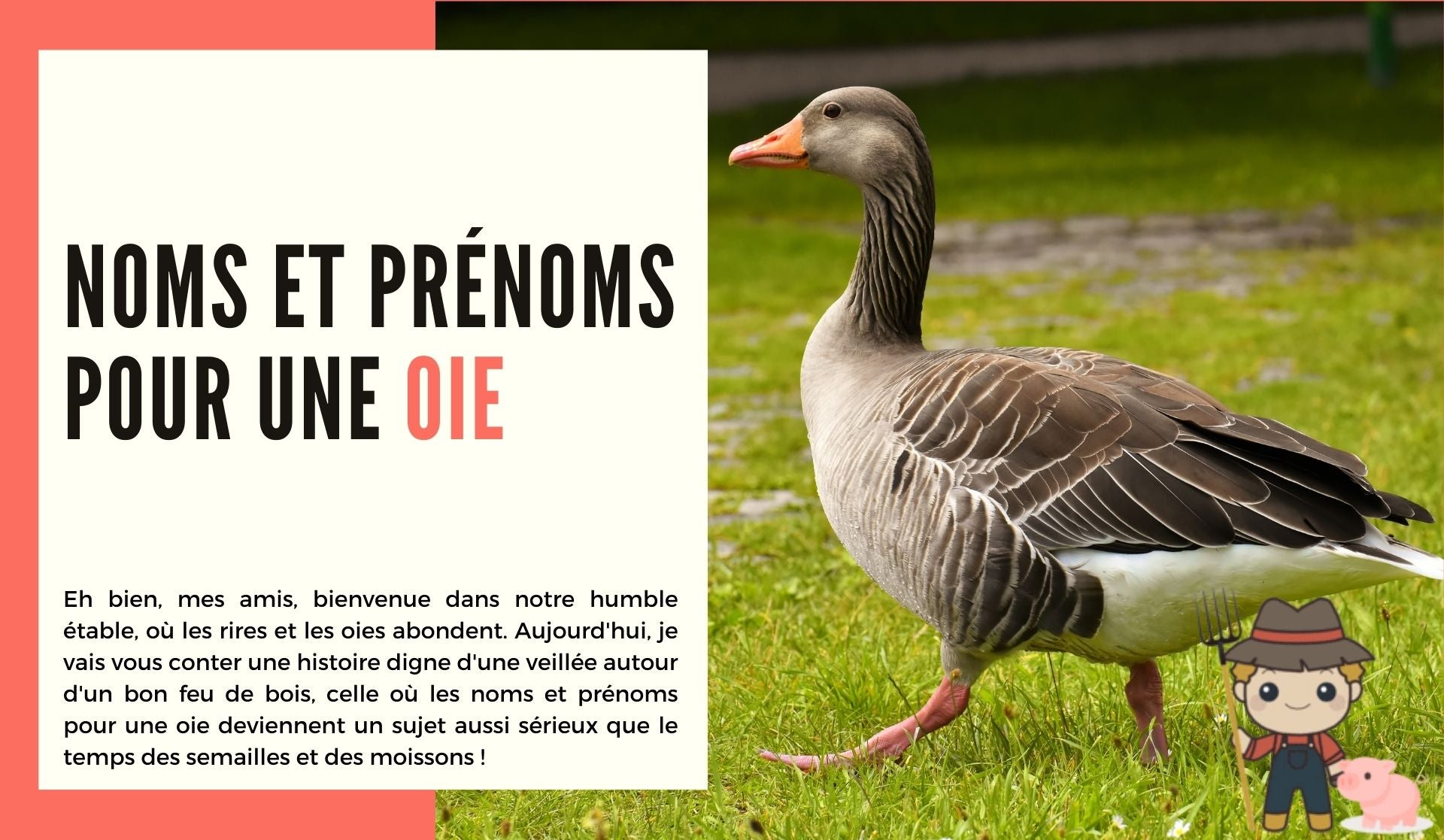 Noms et prénoms pour une oie - Le Petit Fermier