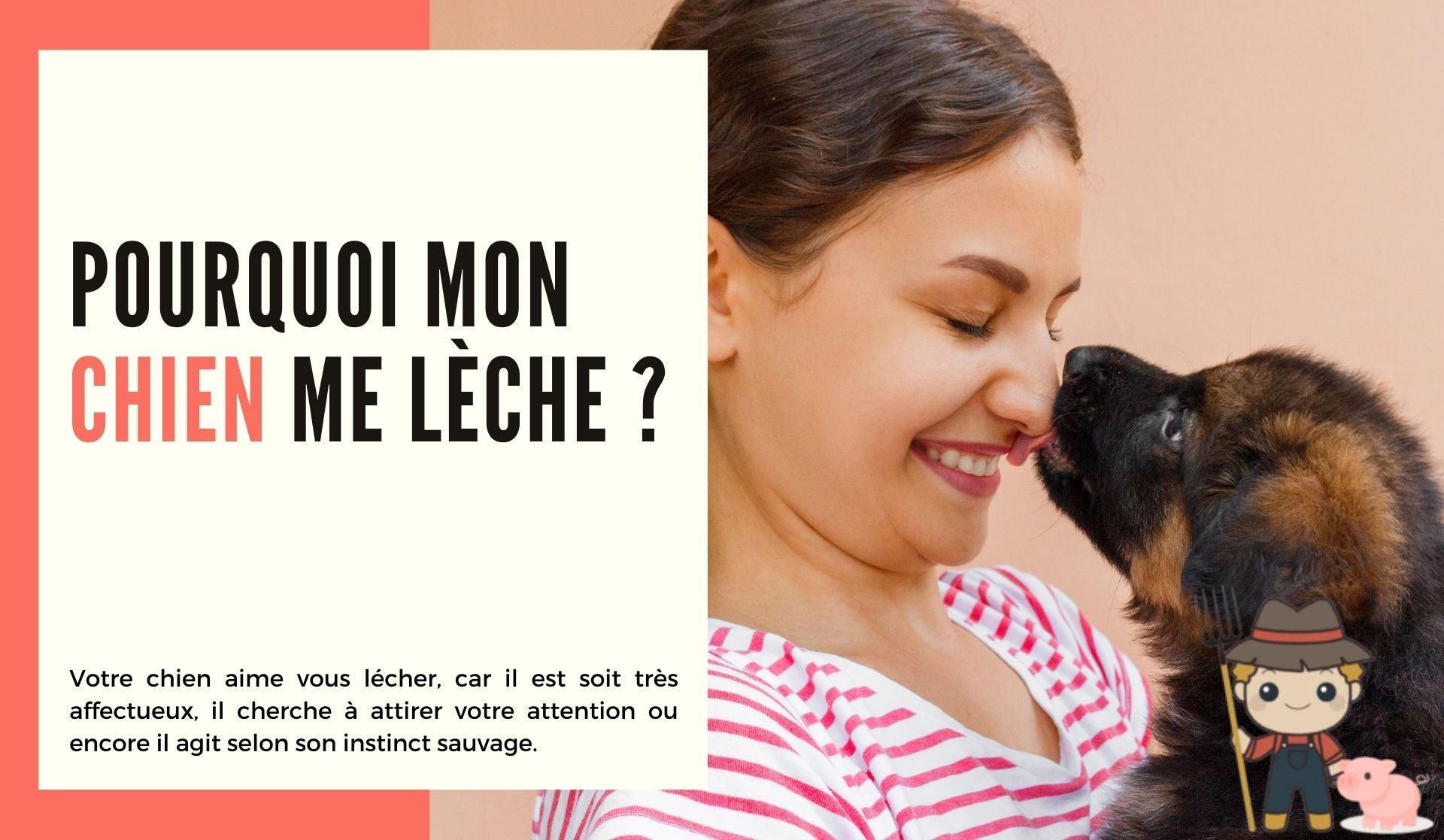 Pourquoi mon chien me lèche ? - Le Petit Fermier