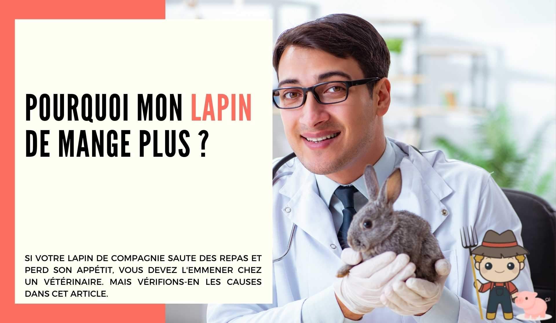 Pourquoi mon lapin ne mange plus ? - Le Petit Fermier