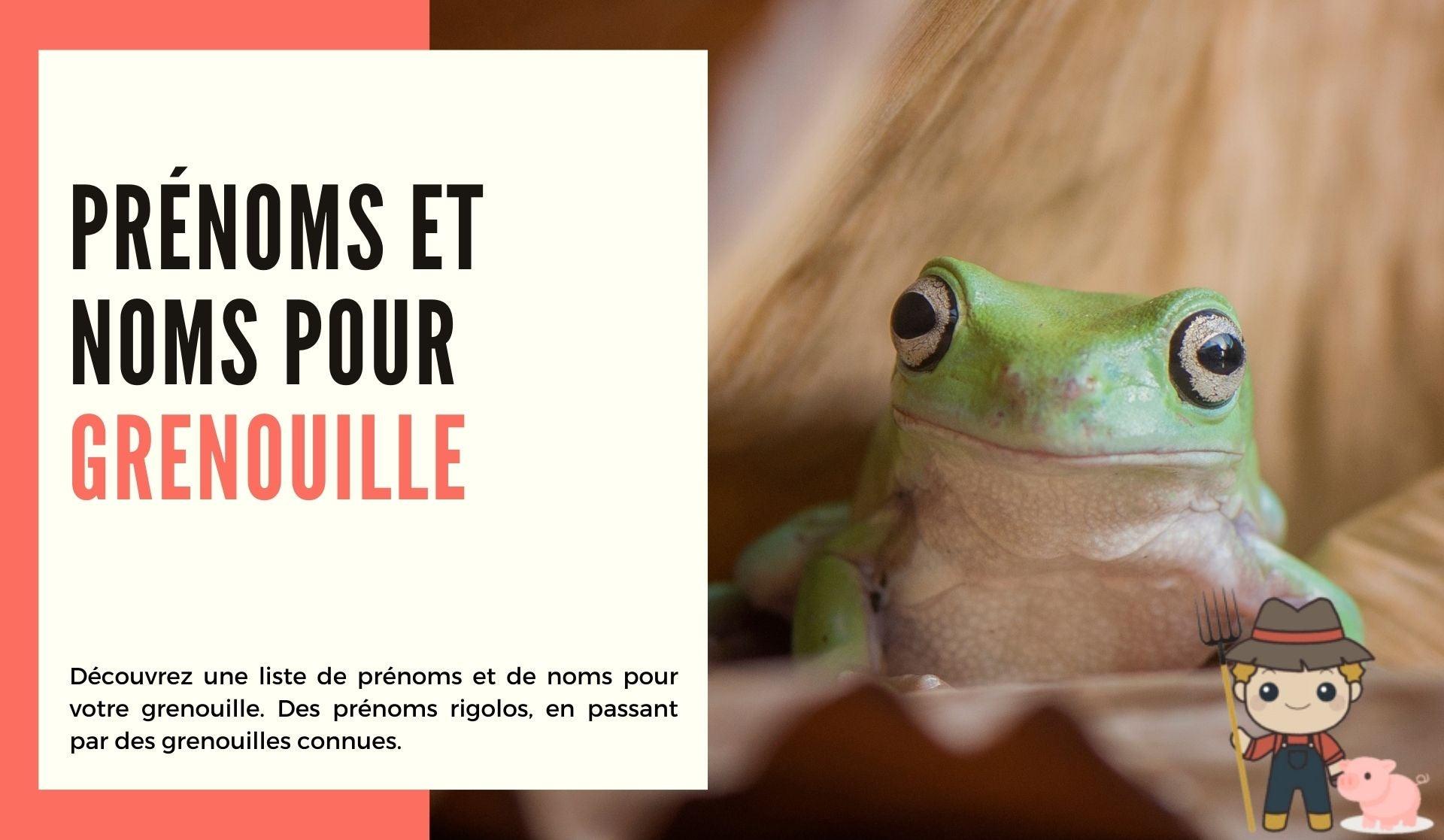 Prénoms et noms pour grenouille - Le Petit Fermier