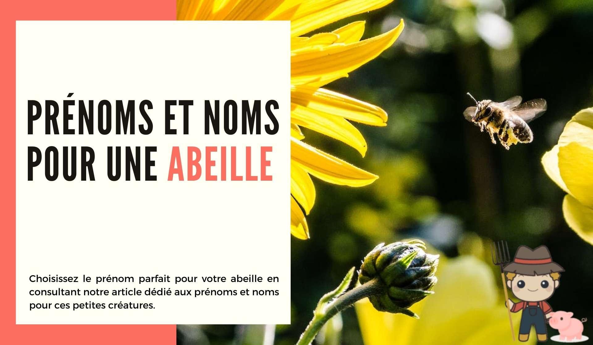 Prénoms et noms pour une abeille - Le Petit Fermier