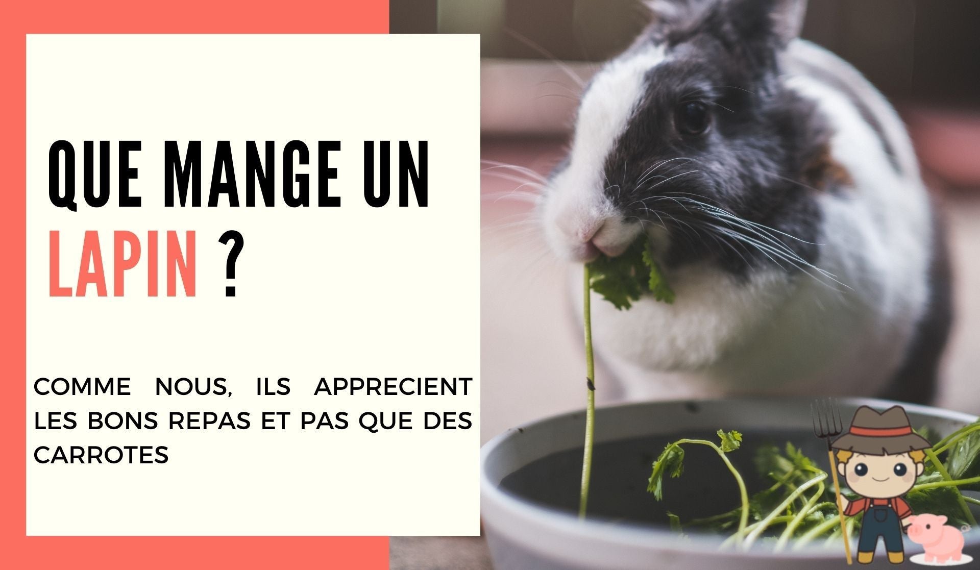 Que mange le lapin ? - Le Petit Fermier