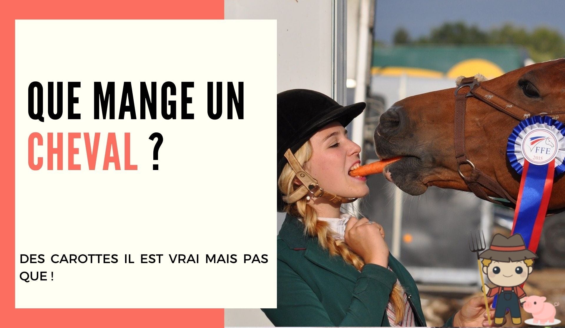 Que mange un cheval ? - Le Petit Fermier