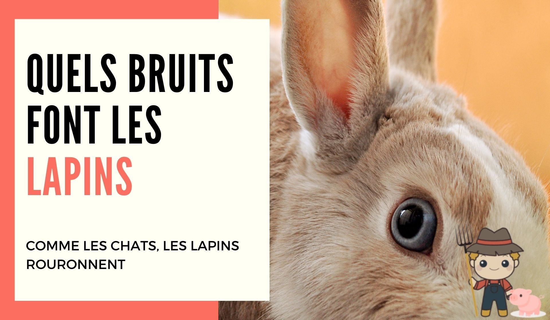 Quels bruits font les lapins ? - Le Petit Fermier