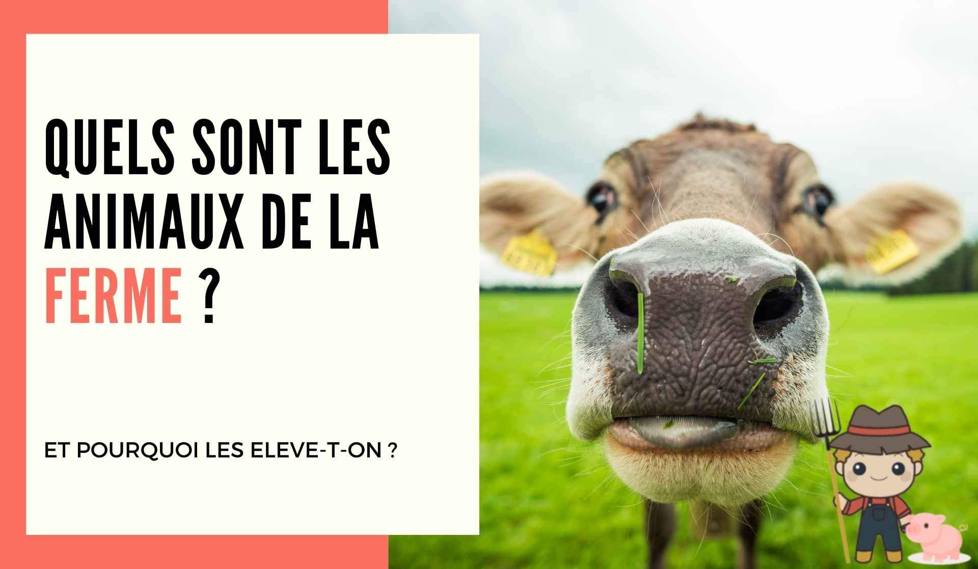 Quels sont les animaux de la ferme ? - Le Petit Fermier