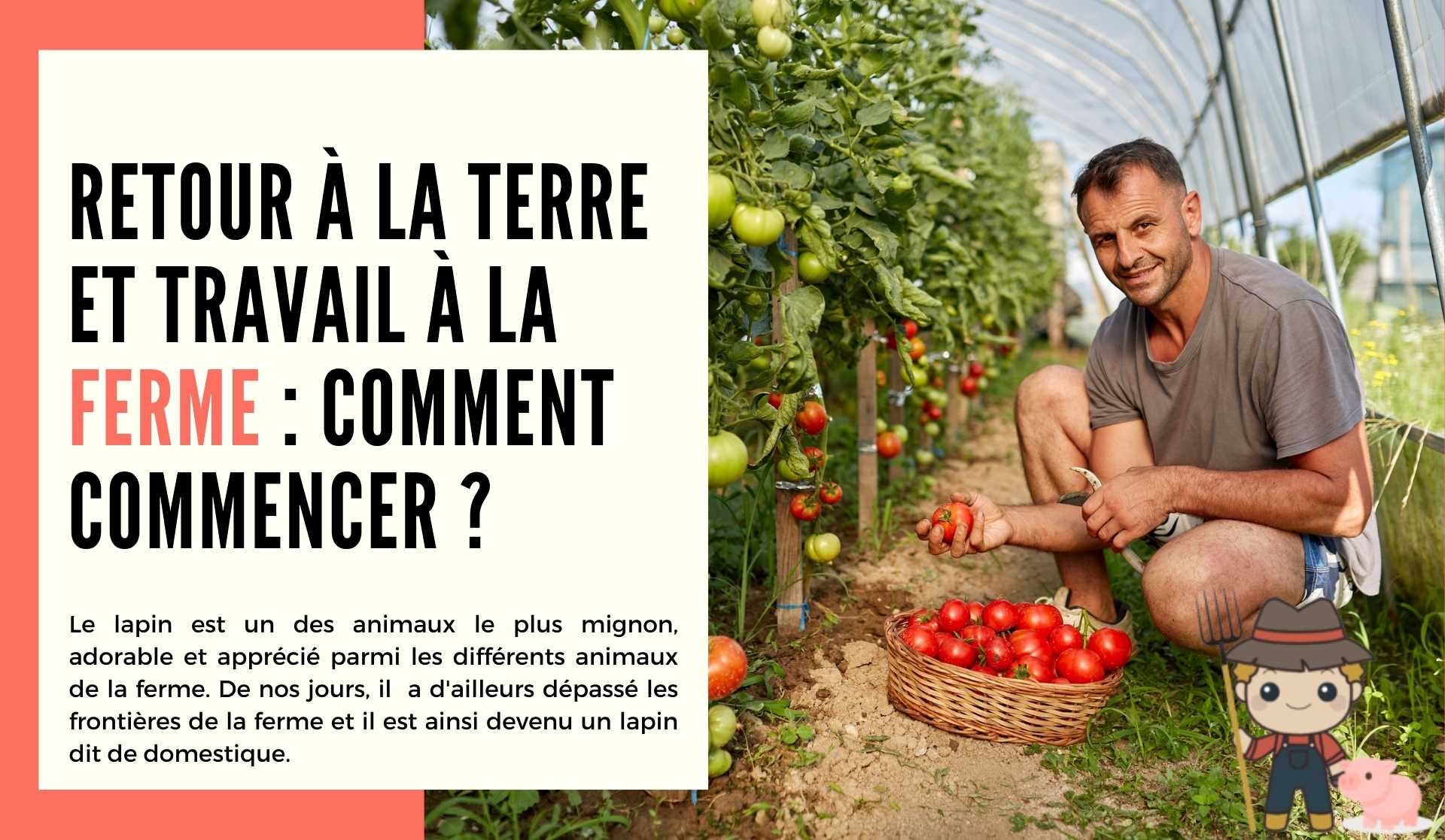 Retour à la terre et travail à la ferme : comment commencer ? - Le Petit Fermier