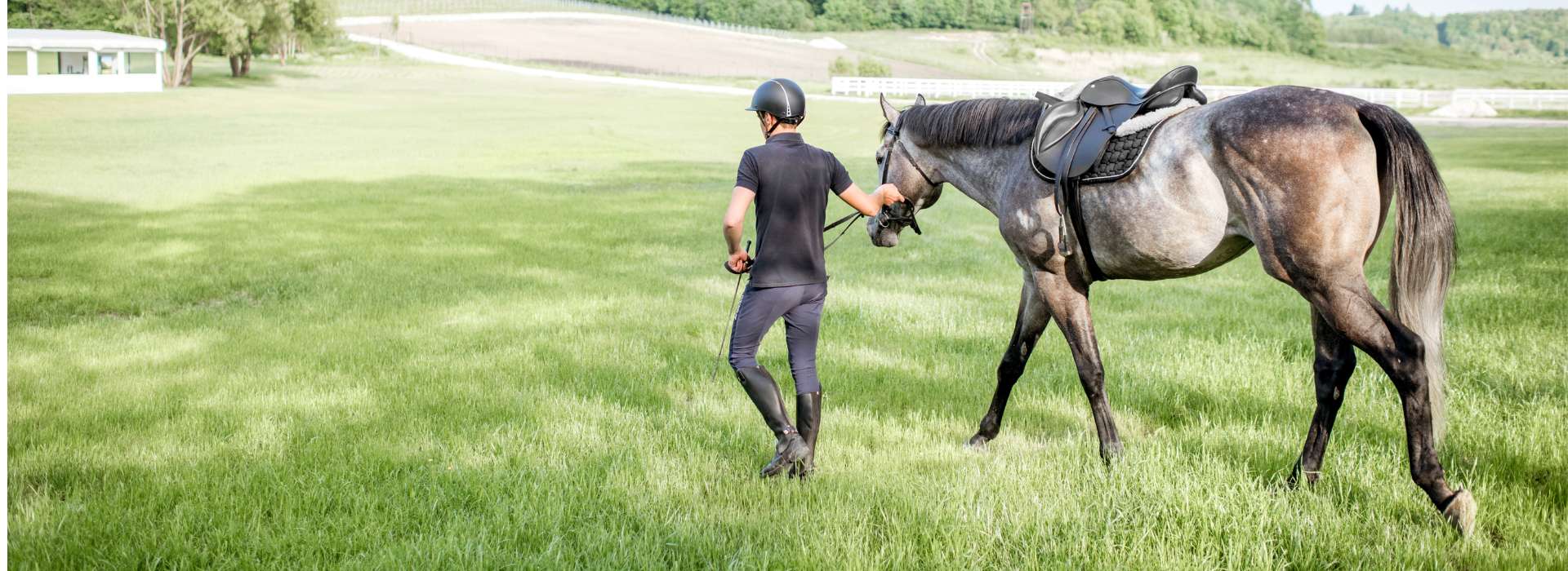 Bijou crin de cheval - Le Petit Fermier