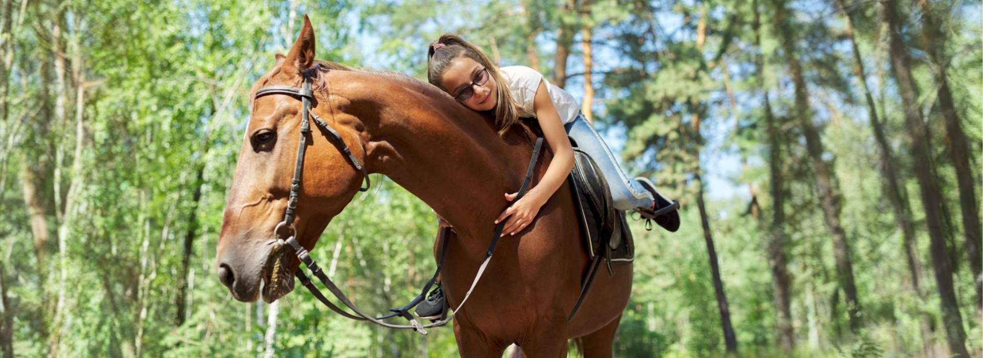 Bijou fer à cheval