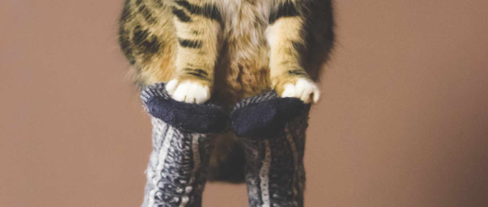 CHAUSSETTES ANIMAUX DE LA FERME - Le Petit Fermier