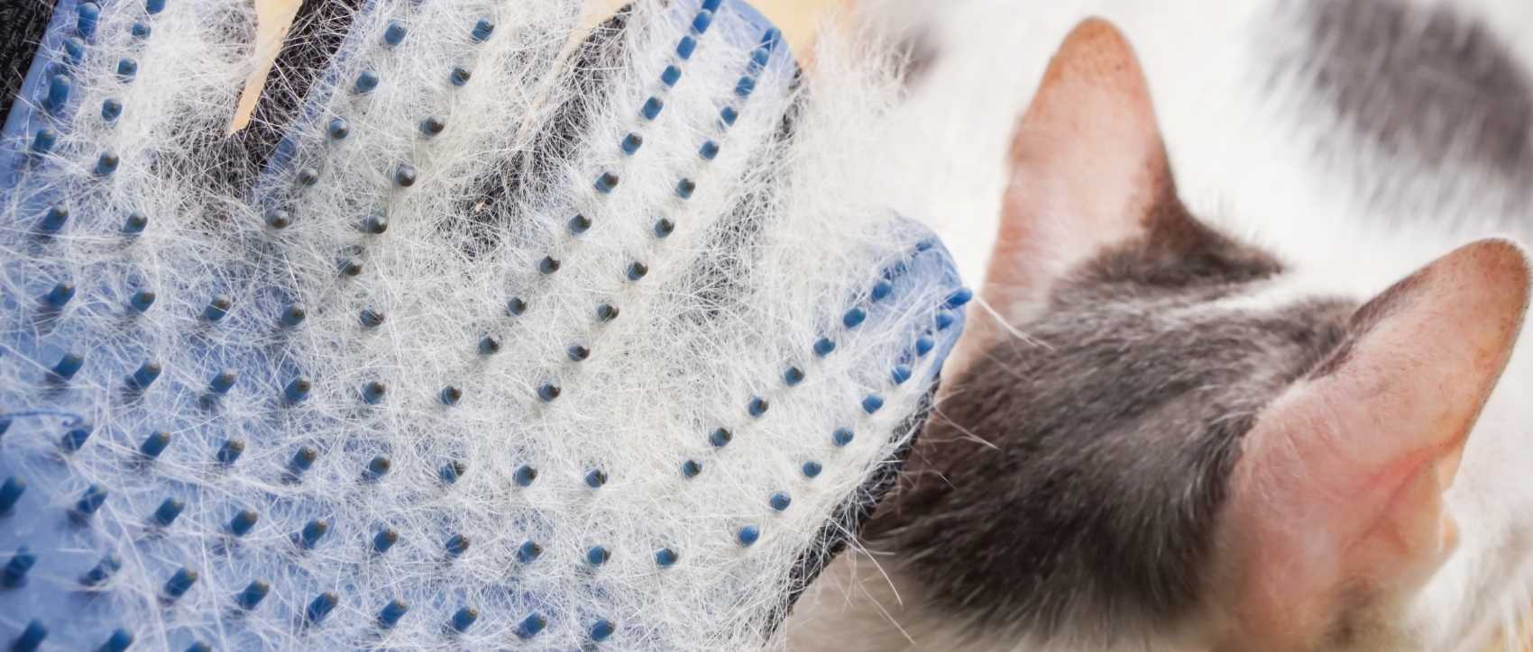 GANTS ANIMAUX DE LA FERME - Le Petit Fermier