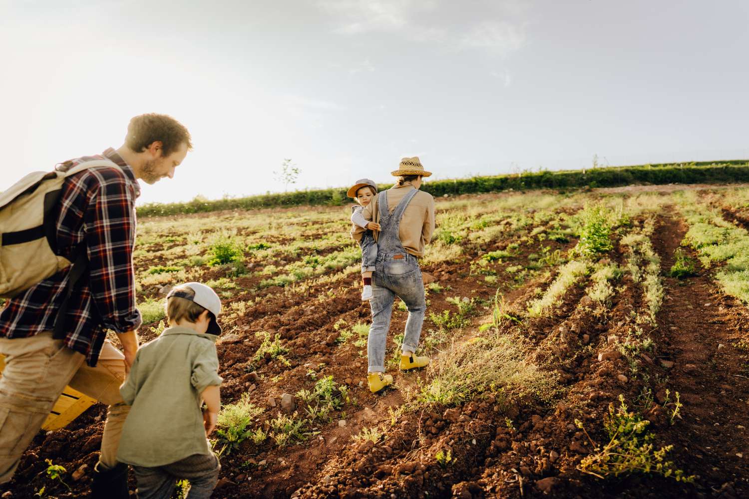 Bannière le petit fermier