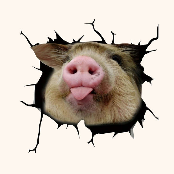 Sticker cochon encastré