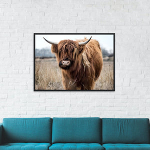 Tableau vache Highland - Le Petit Fermier