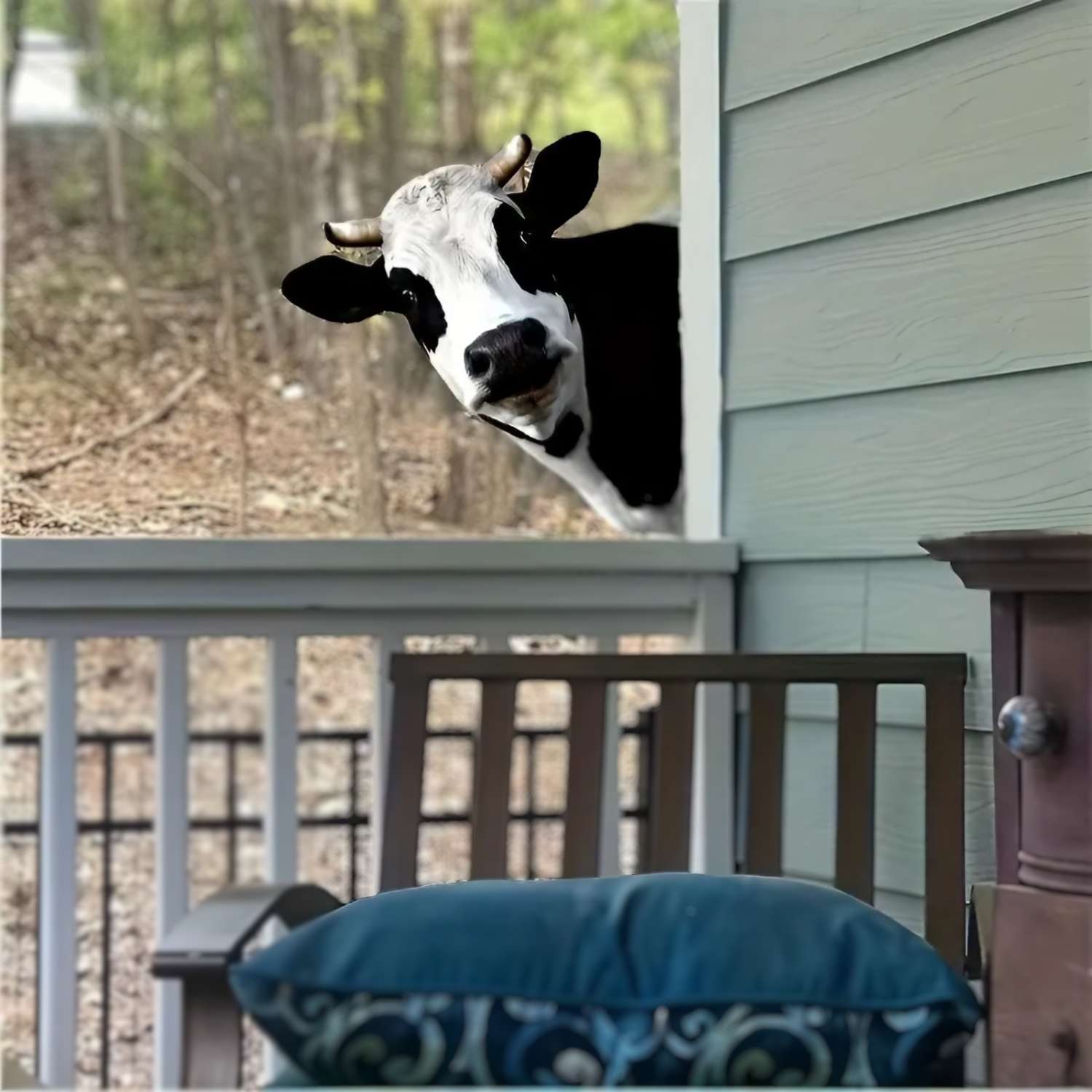 Vache décorative en métal
