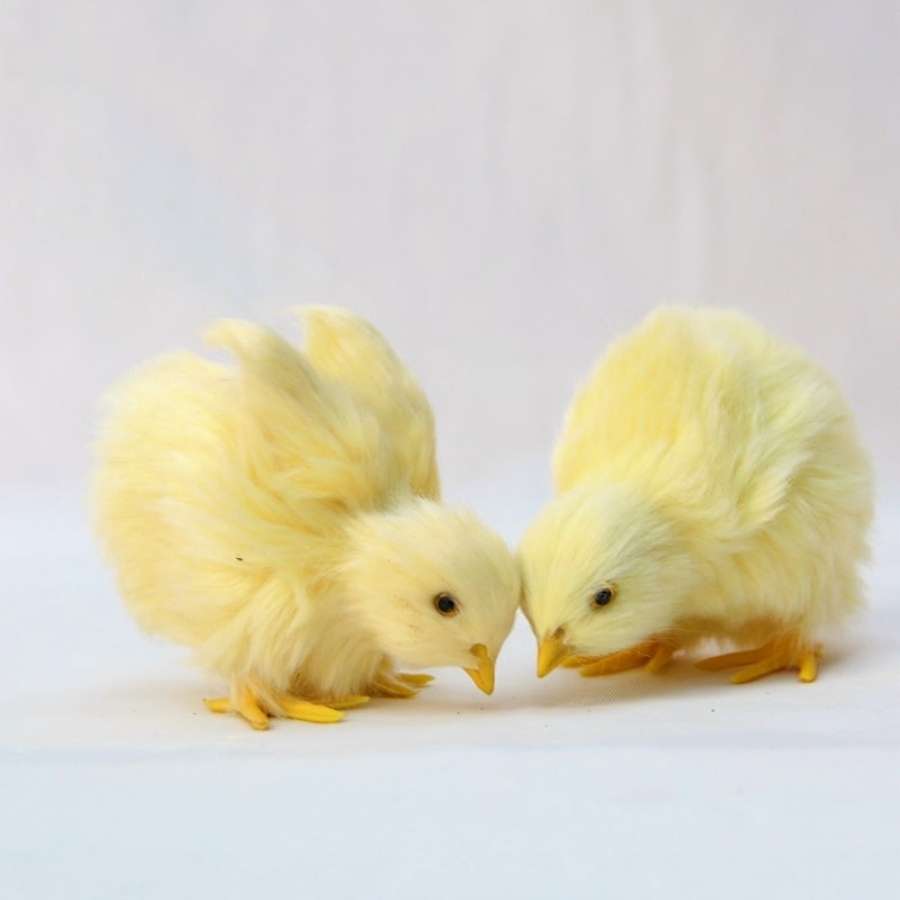 Charmant et confortable poussin en peluche jaune de Pâques pour le plaisir et le confort des enfants