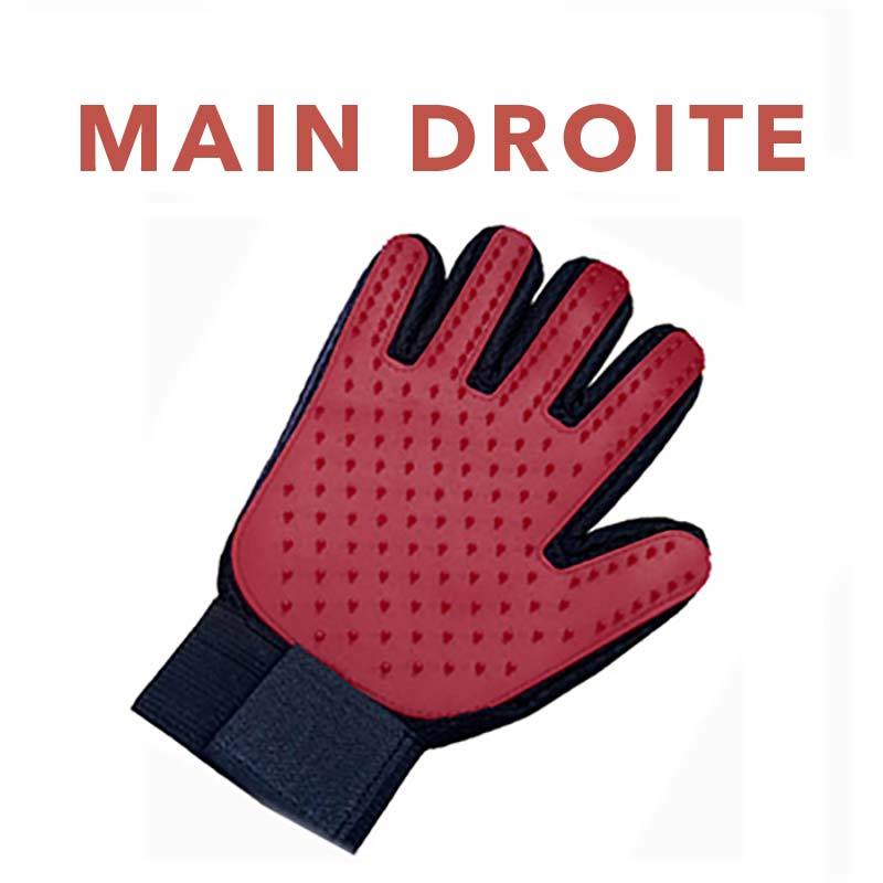 Gant de brossage magique attrape poils - Le Petit Fermier