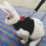 Harnais pour lapin avec laisse - Le Petit Fermier