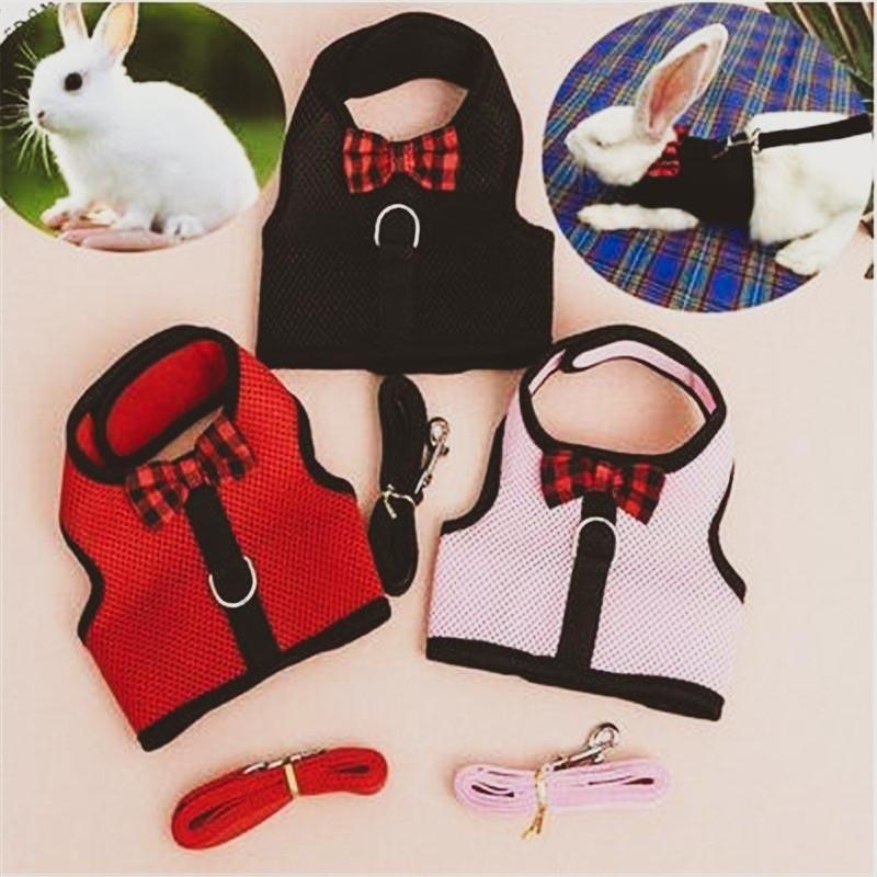 Harnais pour lapin avec laisse - Le Petit Fermier