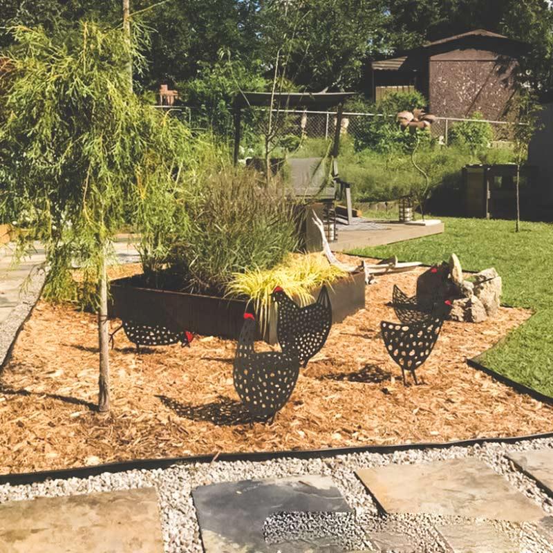 La poule de jardin - Le Petit Fermier