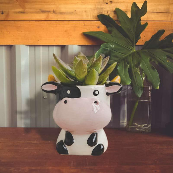 Pot de fleur en céramique vache - Le Petit Fermier