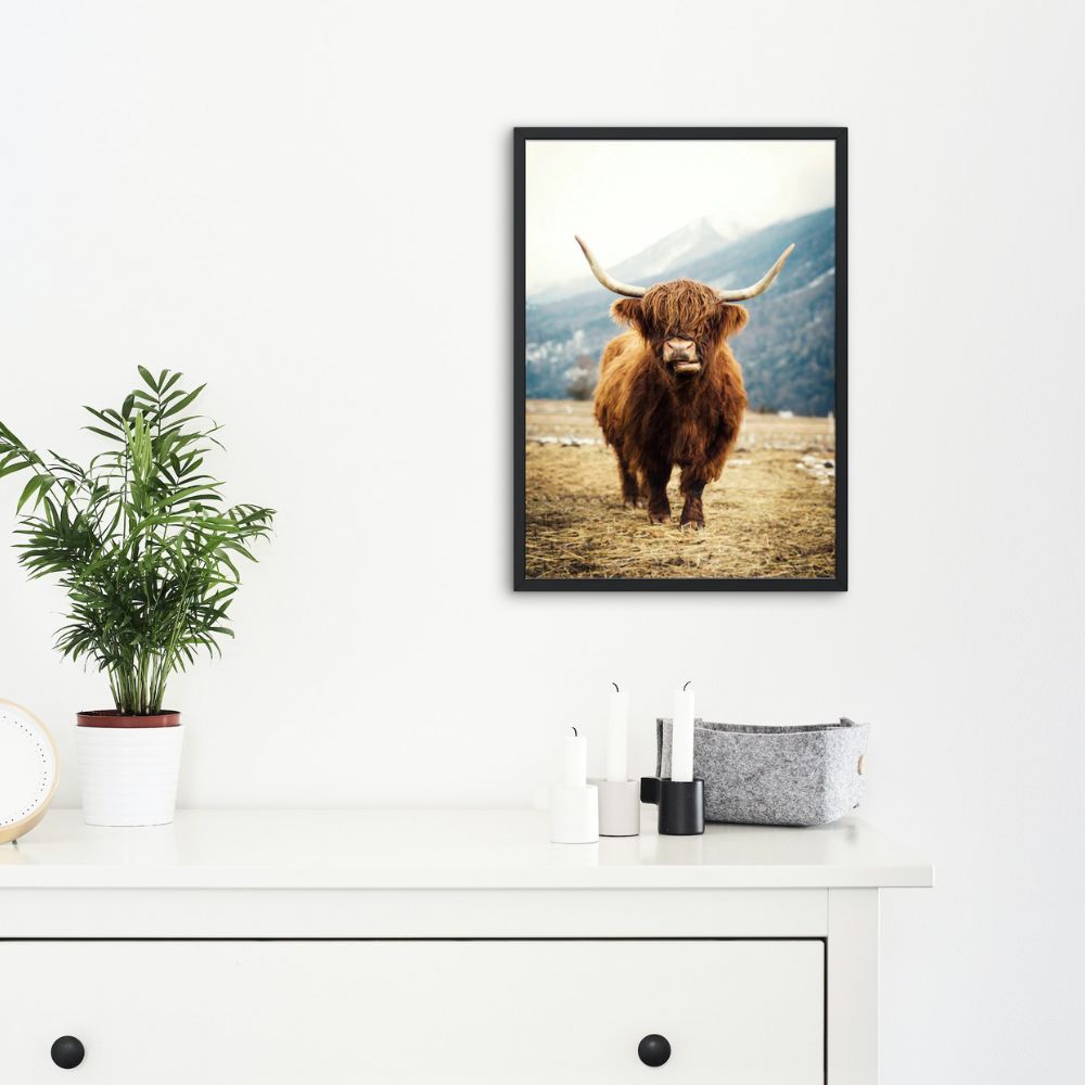Tableau vache highland dans un champ - Le Petit Fermier